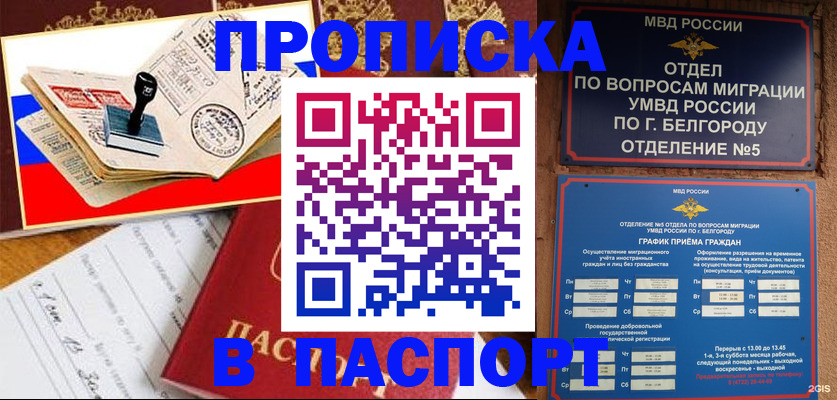 купить прописку в Курчатове